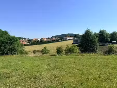 vente terrain 650 m² à la chapelle-d'aurec (43120)  60 800 €