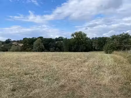 vente terrain 1403 m² à montfa (81210)  59 000 €