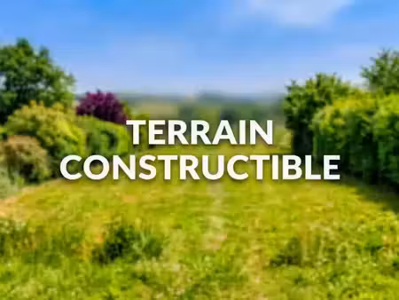 vente terrain 3062 m² à montoussin (31430)  62 000 €