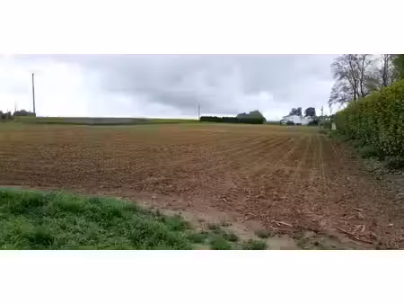 vente terrain 510 m² à saint-hilaire-lez-cambrai (59292)  59 000 €