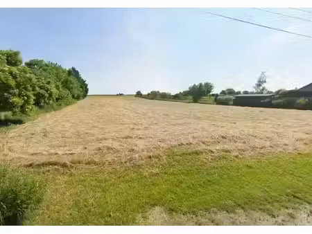 vente terrain 1811 m² à cagnoncles (59161)  65 900 €
