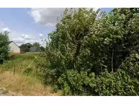 vente terrain 970 m² à rumaucourt (62860)  73 000 €