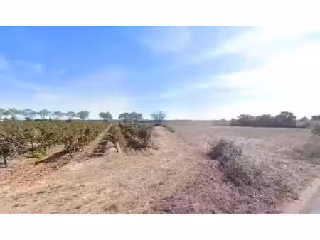 vente terrain 380 m² à saint-chinian (34360)  74 000 €