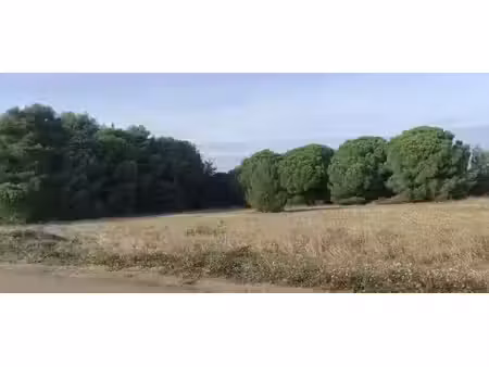 vente terrain 350 m² à autignac (34480)  77 000 €