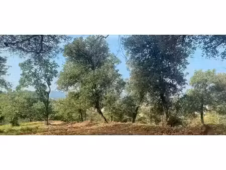 vente terrain 444 m² à mondragon (84430)  79 900 €