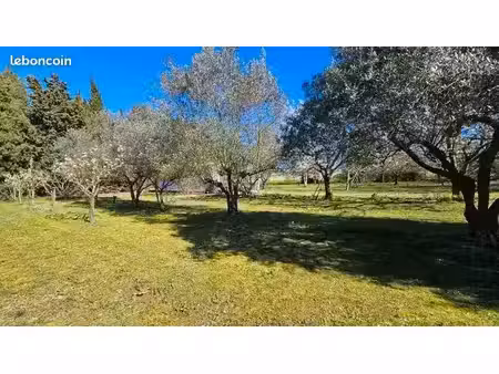 vente terrain 2080 m² à lasserre-de-prouille (11270)  76 420 €