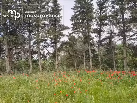 vente terrain 1122 m² à aubignan (84810)  168 500 €