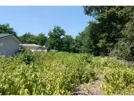 vente terrain 676 m² à audenge (33980)  225 000 €
