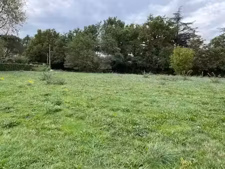 vente terrain 1009 m² à labruguière (81290)  75 675 €