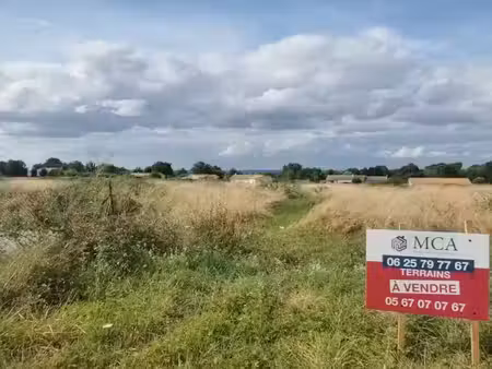vente terrain 658 m² à landiras (33720)  85 000 €