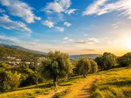 vente terrain 1944 m² à falicon (06950)  420 000 €