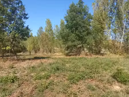 vente terrain 742 m² à mézens (81800)  90 000 €