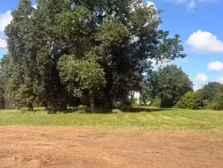 vente terrain 452 m² à la lande-de-fronsac (33240)  90 500 €