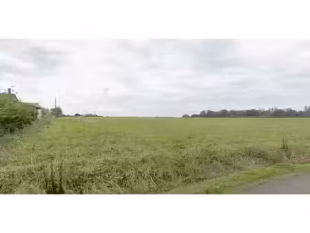 vente terrain 1050 m² à daux (31700)  110 000 €