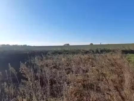 vente terrain 447 m² à merville (31330)  103 000 €