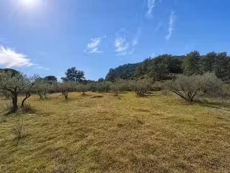 vente terrain 480 m² à gonfaron (83590)  125 000 €