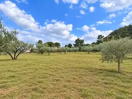 vente terrain 500 m² à gonfaron (83590)  125 000 €