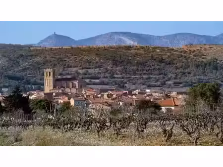 vente terrain 409 m² à baixas (66390)  122 000 €