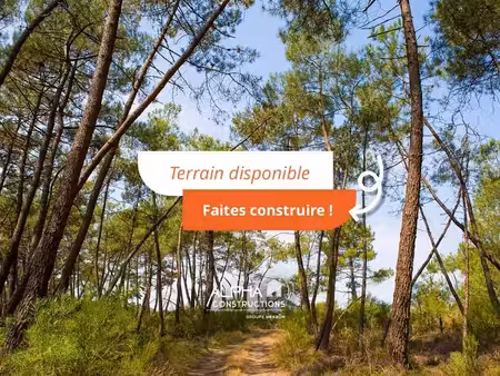 vente terrain 1140 m² à lugos (33830)  135 000 €