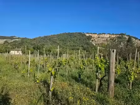 vente terrain 520 m² à cornas (07130)  129 000 €