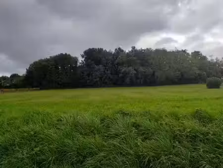 vente terrain 980 m² à sadirac (33670)  140 000 €