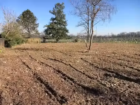vente terrain 650 m² à saint-selve (33650)  140 000 €