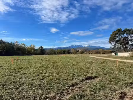 vente terrain 402 m² à thuir (66300)  134 900 €