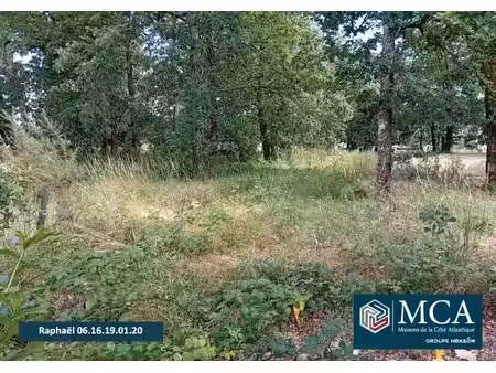 vente terrain 400 m² à biganos (33380)  155 000 €