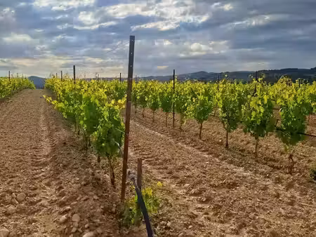 vente terrain 219 m² à pertuis (84120)  154 000 €