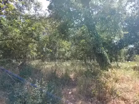 vente terrain 705 m² à garéoult (83136)  155 000 €