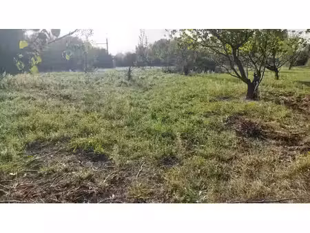 vente terrain 430 m² à sénas (13560)  160 000 €
