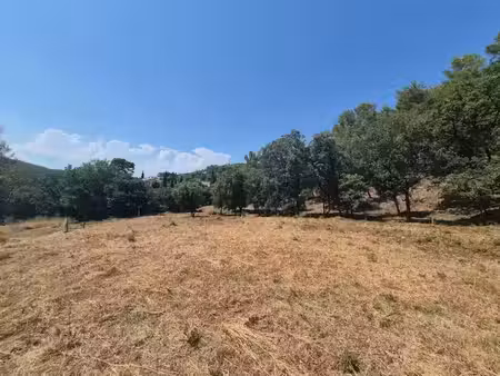 vente terrain 1019 m² à taradeau (83460)  162 000 €