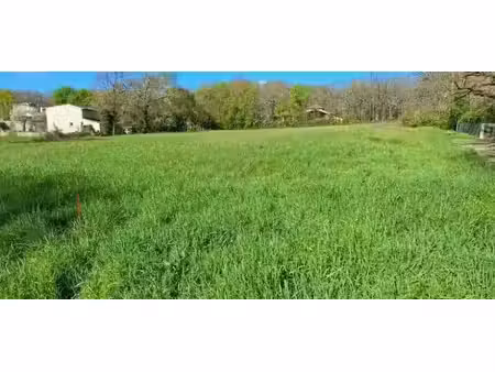 vente terrain 789 m² à la salvetat-saint-gilles (31880)  178 000 €