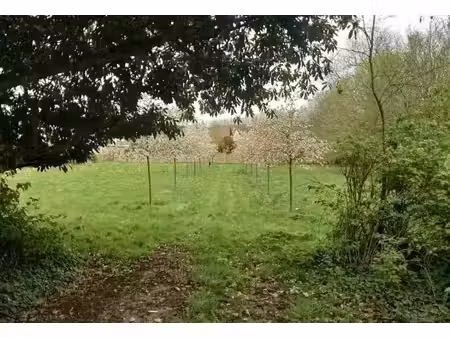 vente terrain 458 m² à conflans-sainte-honorine (78700)  249 000 €