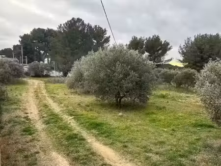 vente terrain 543 m² à saint-chamas (13250)  208 000 €