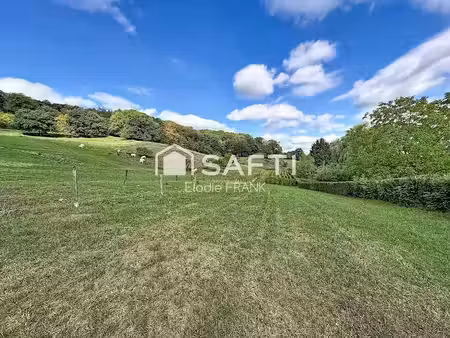 vente terrain à batir 1739 m² à elzange (57970)  210 000 €