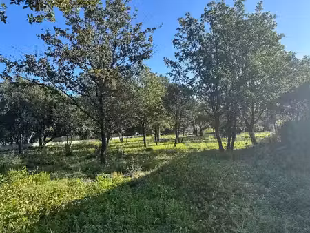 vente terrain 2613 m² à plan-de-la-tour (83120)  580 000 €