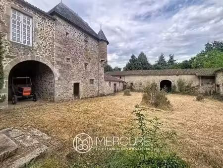 vente maison 11 pièces 337 m² secondigny (79130)