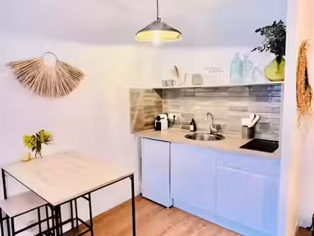 location meublée appartement 1 pièce 24 m² à sète (34200)  560 €