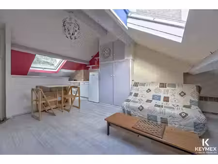 appartement l isle adam 1 pièce 13.85 m2