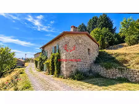ardèche - maison en pierres rénovée 140 m² - terrain 1 ha