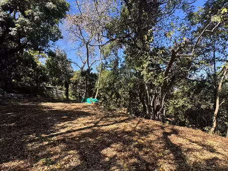 terrain à bâtir 543 m2 cadre boisé et calme la riviere s