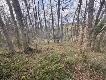 terrain de loisirs de 24 810 m² à esson