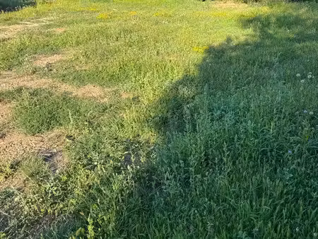 terrain 702 m2 ternay