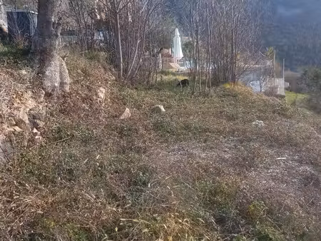 terrain agricole sur belvédère