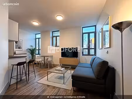 studio 1 pièce 31 m²