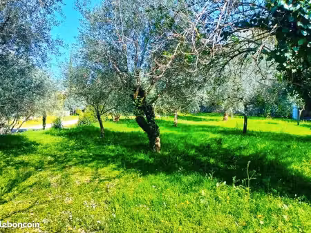 terrain 1 000 m² draguignan