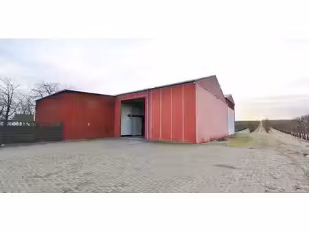 entrepôt à louer à rukkelingen-loon pour € 1.250