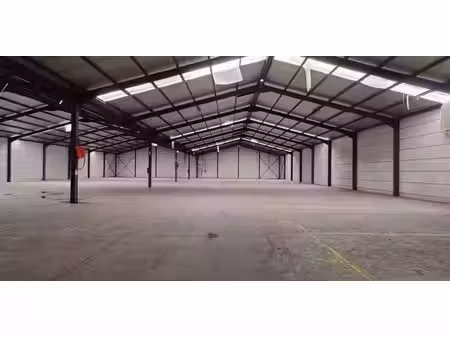 entrepôt à louer à tessenderlo pour € 6.700