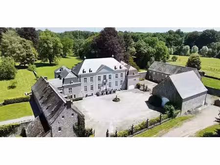 maison exceptionnelle à vendre à braibant pour € 2.500.000 avec 27 chambres à coucher